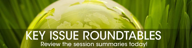 key-issue-roundtable